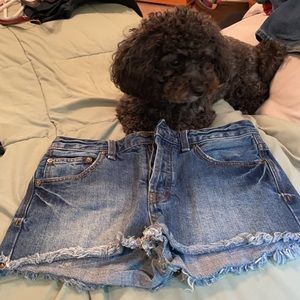 Free People Jean Shorts